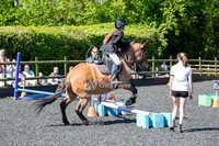 2 Pony Clear Round Jumping Cross Pole