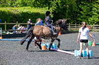 3 Pony Clear Round Jumping Bottom Pole
